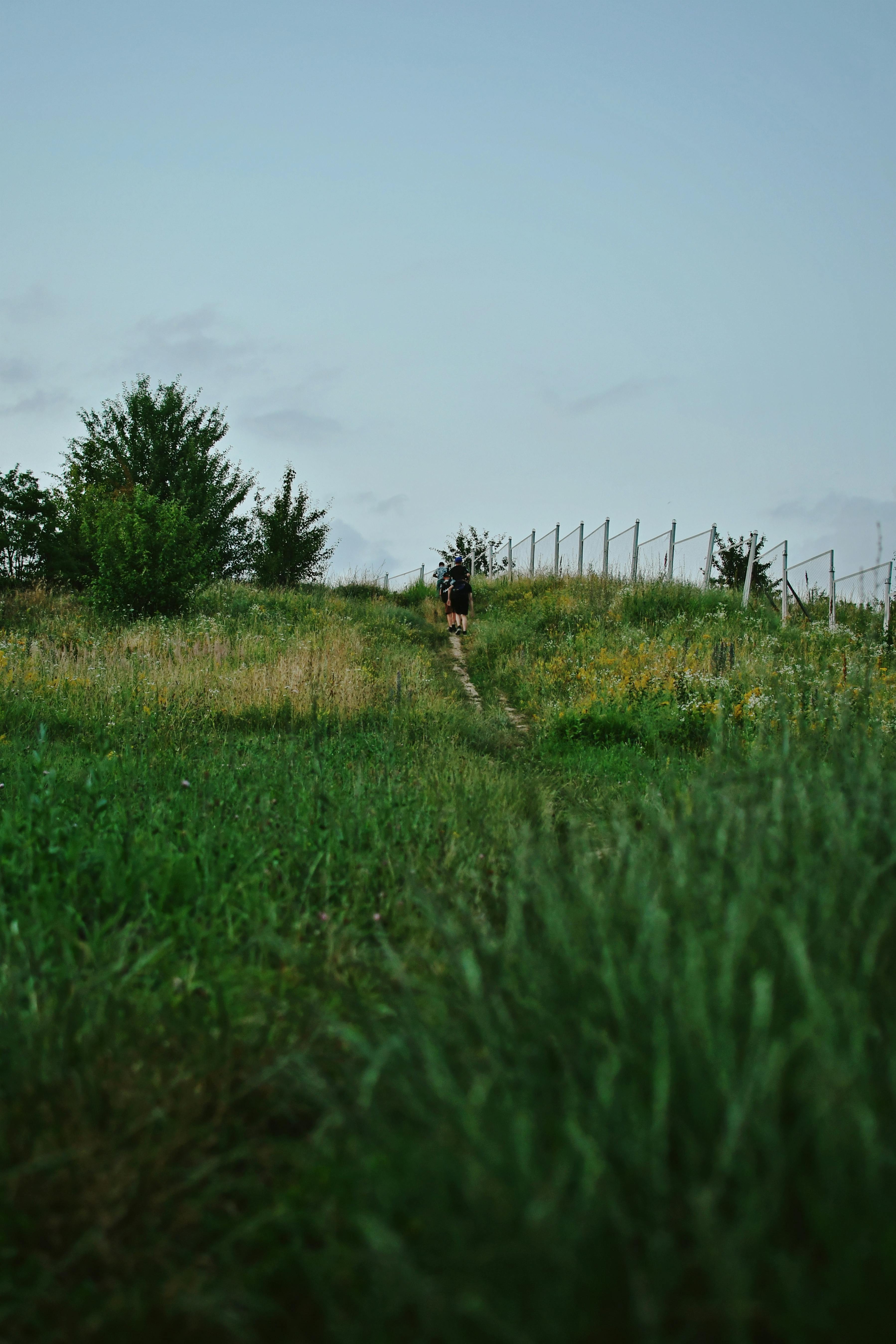 BeaverWize screenshot 1